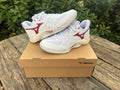 Mizuno Wave Momentum Pro
